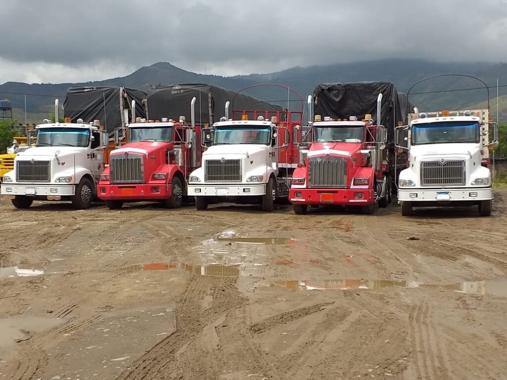 Servicio de transporte de carga: Soluciones efectivas para tu negocio