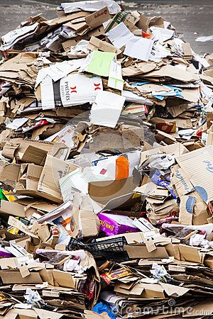 Cómo reciclar papel correctamente en Colombia: Guía práctica y fácil