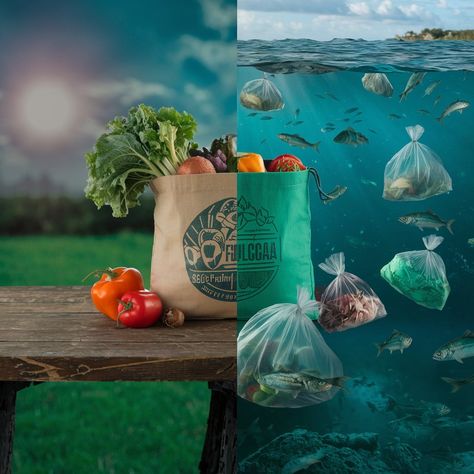 Reciclaje en Colombia en 2025 : desafíos y oportunidades hacia un futuro sostenible